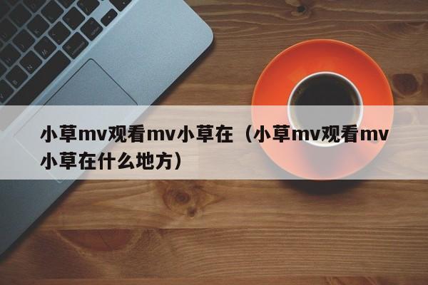 小草mv观看mv小草在(小草mv观看mv小草在什么地方)