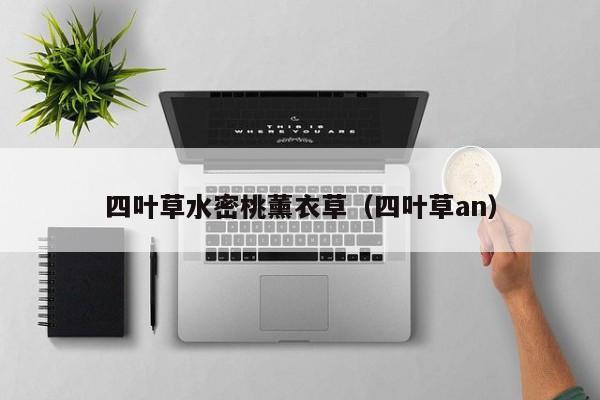 四叶草水密桃薰衣草(四叶草an)