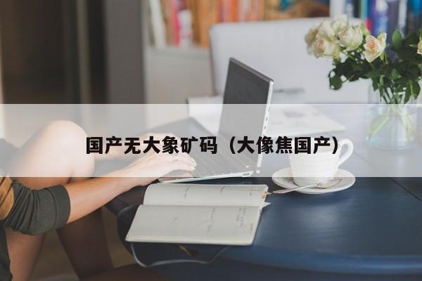国产无大象矿码(大像焦国产)