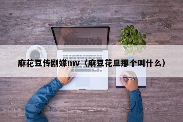 麻花豆传剧媒mv(麻豆花旦那个叫什么)